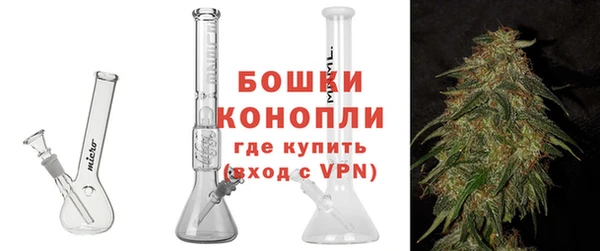гидра Костерёво