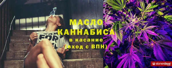 гидра Костерёво