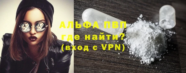спиды Пестово