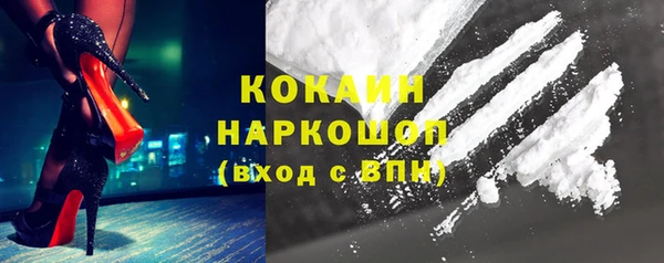 бошки Пересвет